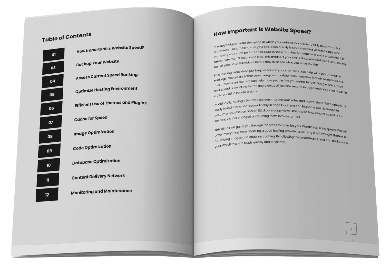 The inside view of the eBook "A Guide To Optimize WordPress Website Speed"