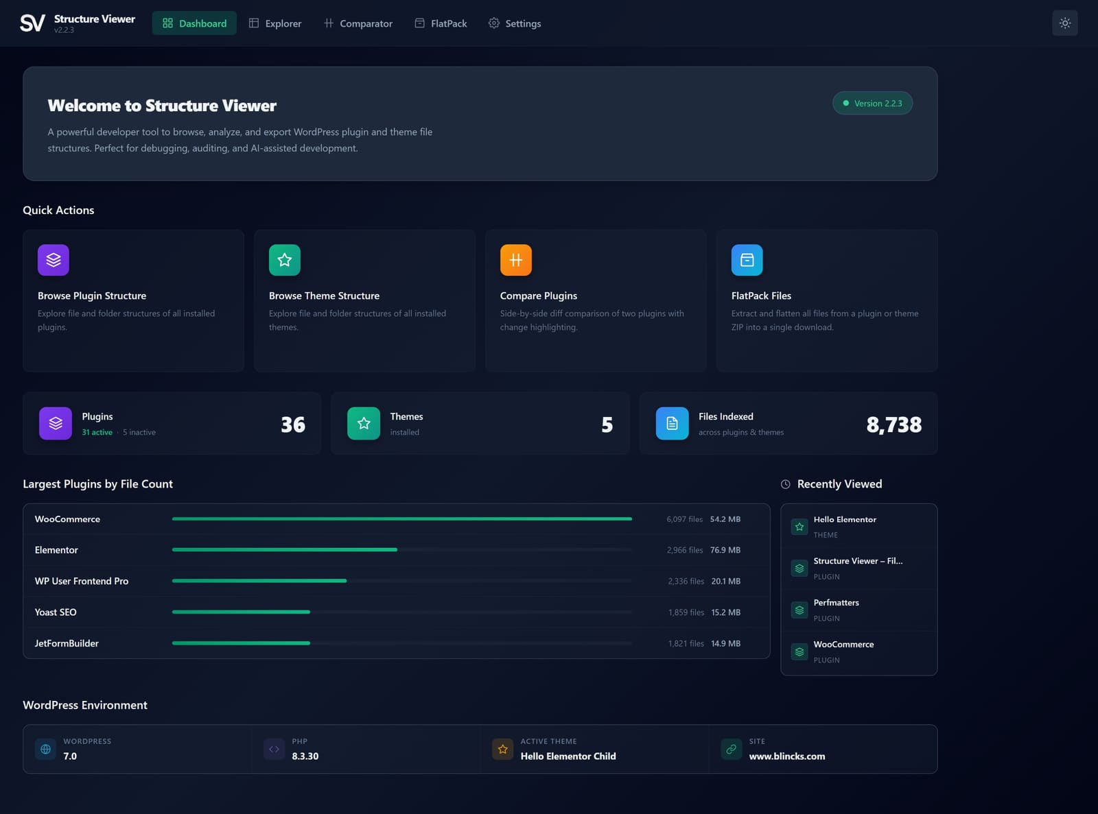 Dashboard — stat tiles, largest plugins table, recently viewed panel, and environment info