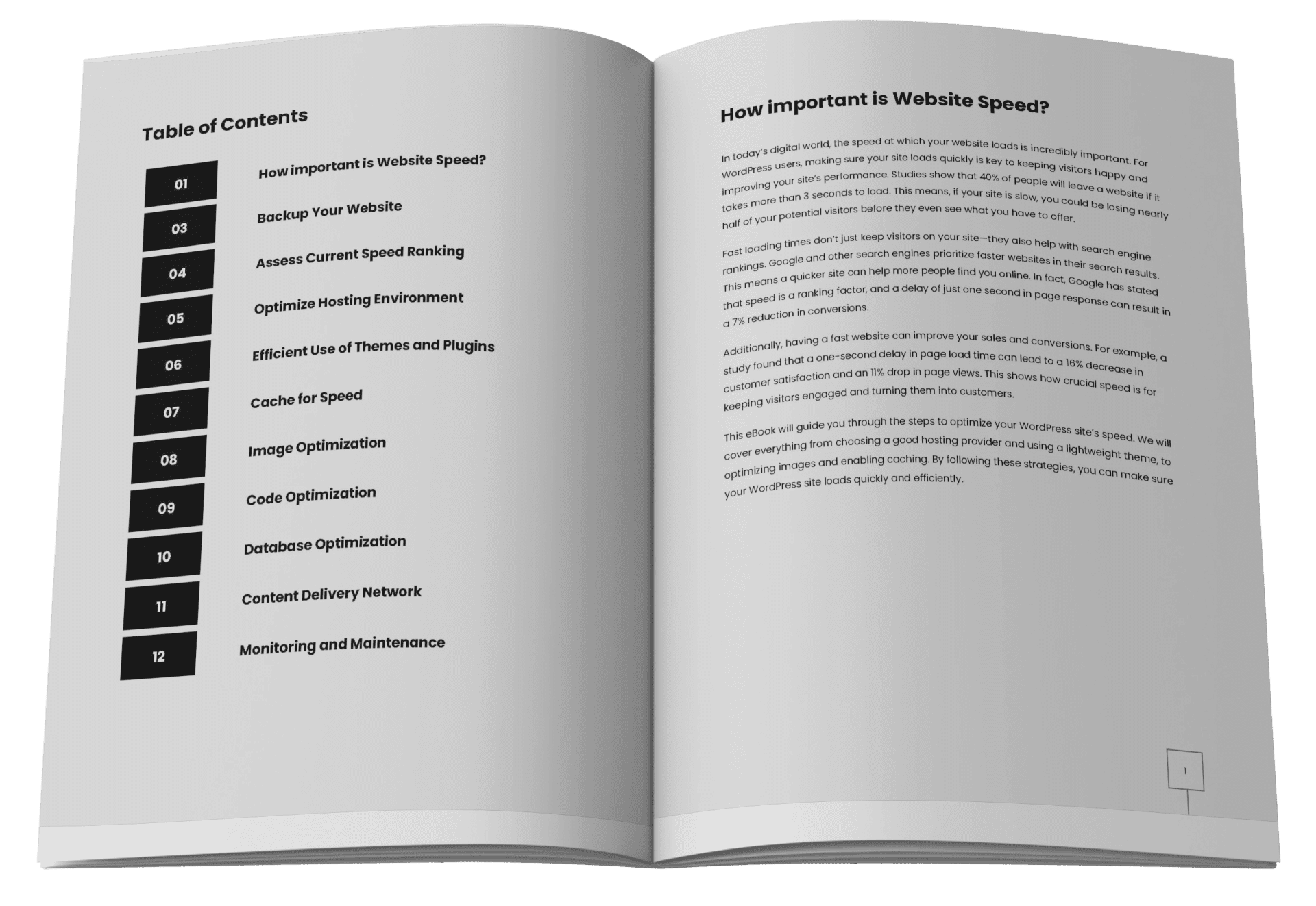 The inside view of ebook "A Guide To Optimize WordPress Website Speed"